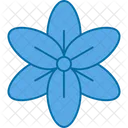 Delfinio Flor Florecer Icon