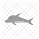 Delfino  Icon