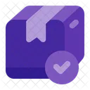 Delivered Package Delivery Shipping Icon