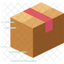 Delivery Shipping Express Icon