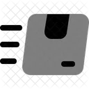 Delivery Box Package Shipping Icon