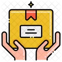 Delivery Box Cardboard Box Package Icon