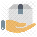 Delivery Box Pakakge Delivery Shipping Icon