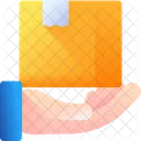 Delivery Box Package Box Icon