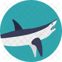 Delphin Fisch Saugetier Symbol