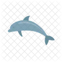 Delfin  Symbol