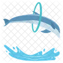 Delphin Spielen Springender Cartoon Springender Delphin Symbol