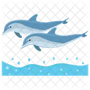 Delfine Springender Cartoon Springender Delfin Symbol