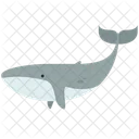 Delfin  Symbol