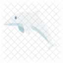 Delfin  Symbol