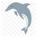 Delphin Saugetier Tier Symbol