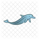 Delfin  Symbol