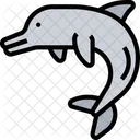 Delfin  Symbol