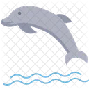 Delfin  Symbol