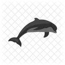 Delphin Tier Tierwelt Symbol