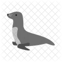 Delphin Meer Hund Symbol