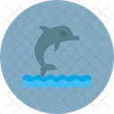 Delfinshow Delfin Show Symbol