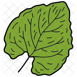 Deltoid Leaf  Icon