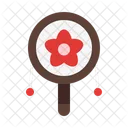 Den den daiko  Ícone