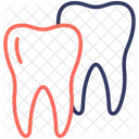 Dent Dents Dentiste Icon