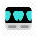 Dental Tooth Xray Icon