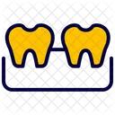 Dental Medical Root Icon