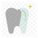 Dental Dentist Dental Disease Icon