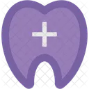 Dental Care Tooth Icon