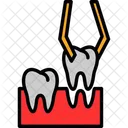 Dental Dentistry Extraction Icon