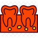 Dental Dentist Gum Icon