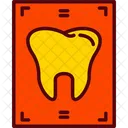 Dental Dental Records Dentist Icon