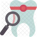Dental Dentistry Oral Icon