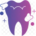 Dental Anatomy Icon