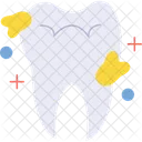 Dental anatomy  Icon