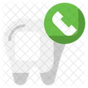 Dental Appointment Appointment Phone Call Icon