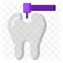 Dental Care Molars Tooth Icon