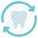 Dentist Dental Care Check Up Icon