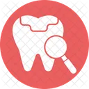 Dental Care Dental Checkup Dental Practice Icon