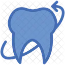 Dental Care Dental Treatment Dental Icon