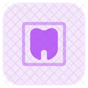 Dental Care  Icon