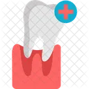 Dental Care  Icon