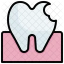 Dental Caries  Icon