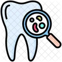 Dental Check Dental Checkup Tooth Icon