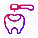Dental Check Up Oral Examination Dental Visit Icon