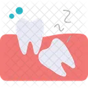Dental check up  Icon