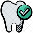 Dental Checkup Dental Dentist Icon