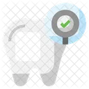Dental Checkup Dental Care Dentist Icon