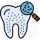 Dental Checkup Checkup Inspection Icon
