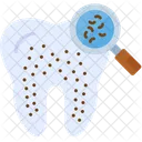 Dental Checkup Checkup Inspection Icon