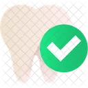 Dental Checkup  Icon